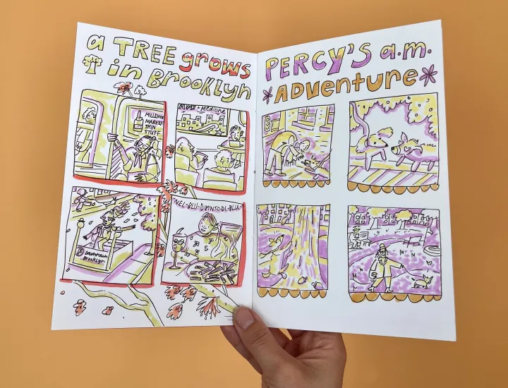 Diary Comics Workshop