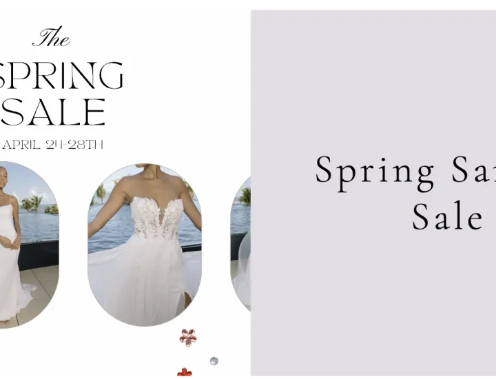 Spring Cleaning Sample Sale