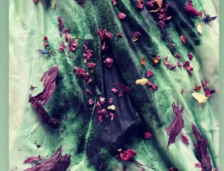 Plant dyeing in progress using rose petals, botanicals, and seeds