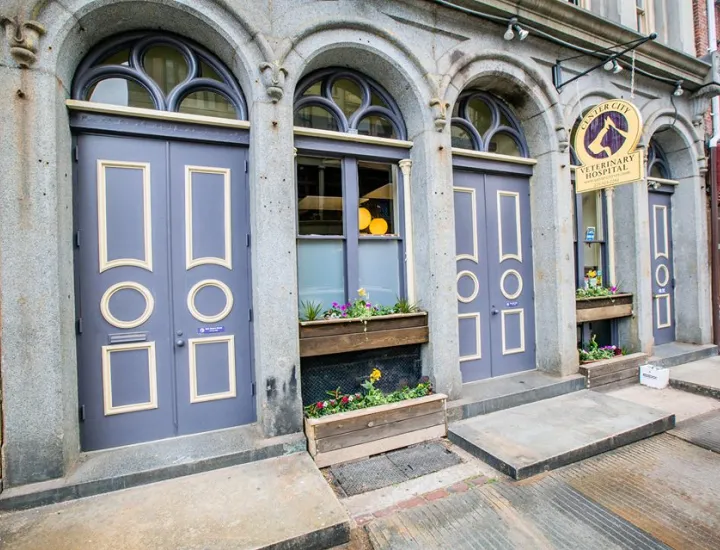 Center City Veterinary Hospital