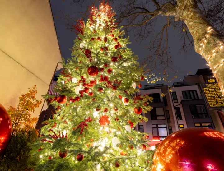Historic Holidays Tree Lighting