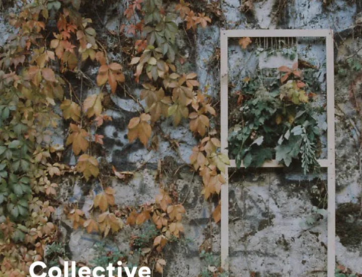 A photo of Wilson's vegetative tapestry in place in Plaisance, a commune in the Gers department in southwestern France. 