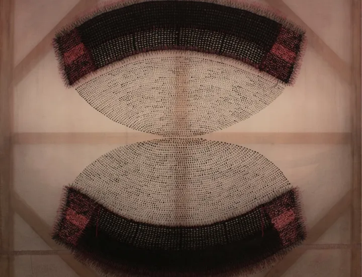 “Structure of Desire” (48” x 48”) Acrylic on transparent cotton canvas, textile, crochet, and stitching