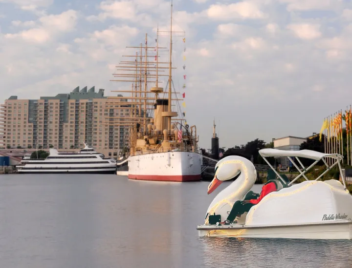 Swan boat on the Delaware River