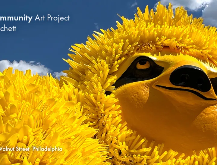 FRIEDAcommunity Art Project