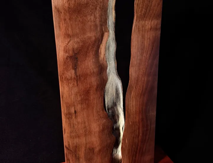 Artist:​David Winigrad Title:​Shine Forth