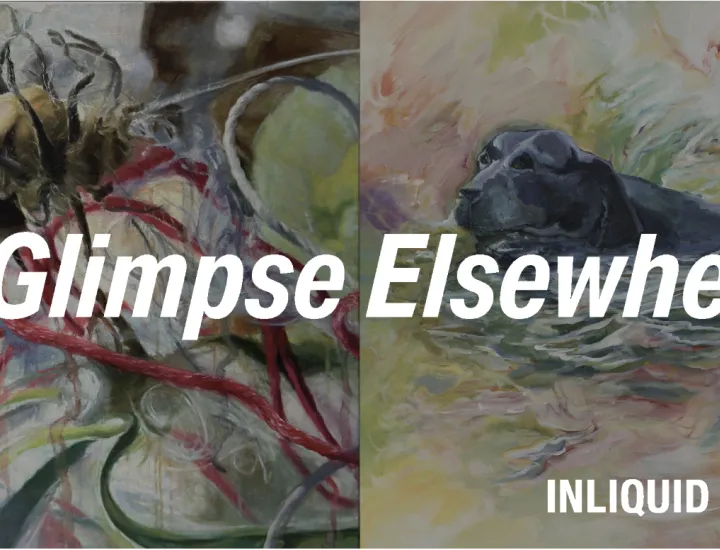 A Glimpse Elsewhere