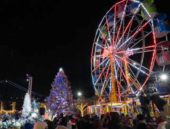 Ferris wheel & Christmass tree