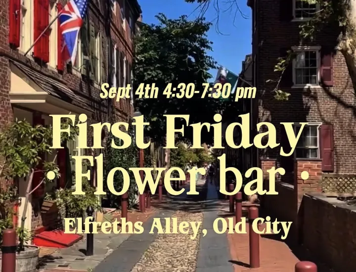A view on Elfreth's Alley from Second Street